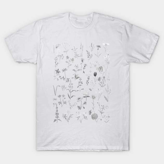 countryside wildflowers black and white T-Shirt by colorandcolor